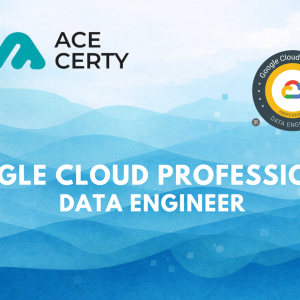 Professional Data Engineer