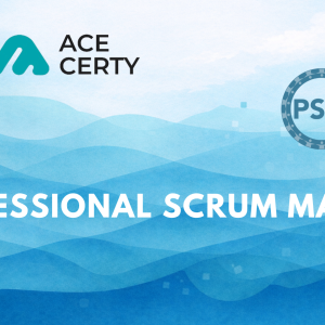 Professional Scrum Master (PSM)